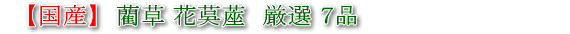 花ござ イグサ