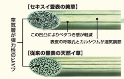 セキスイフロア畳　美草目積　