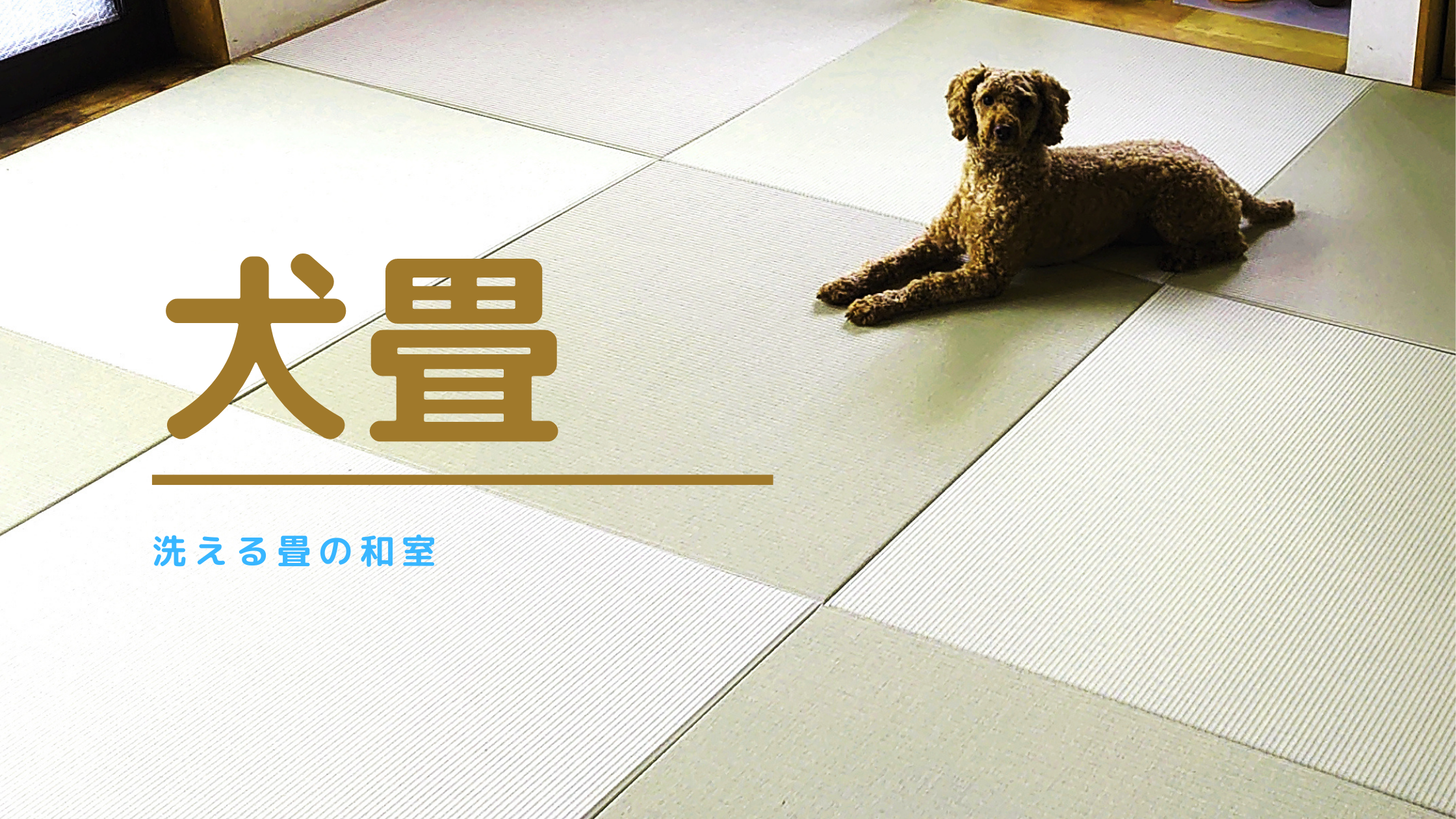洗える畳でペットの犬も和室でほっこり